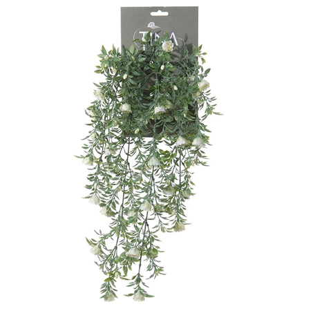 Roos hanger l50cm groen/creme heade (Zijde-plant)