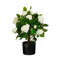 Roos in pot d40h60cm wit