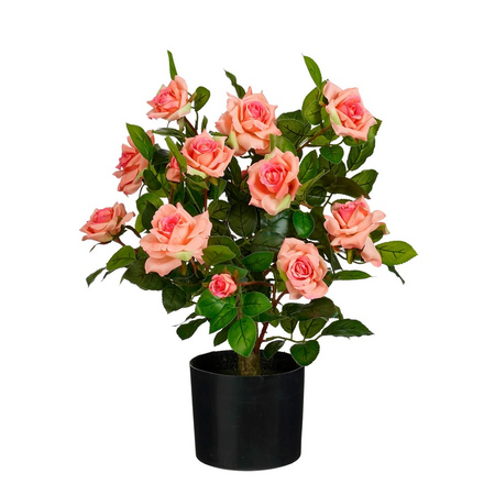 Roos in pot d40h60cm zalm