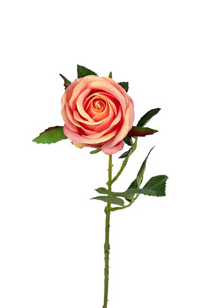 Roosbot l57cm zalmroze