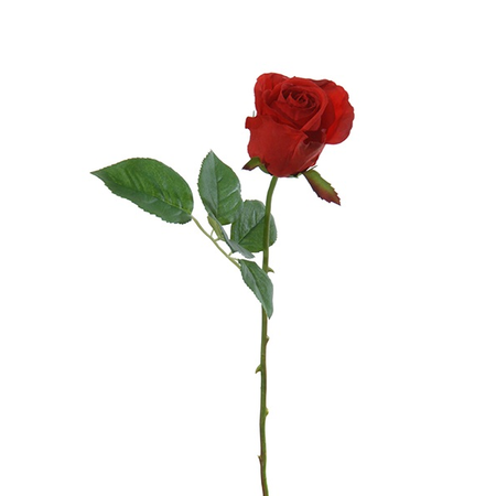 Roosbot l58cm rood (Zijde-bloem)