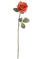 Roossteel l55cm bruin