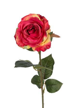 Roossteel l65cm rood/creme