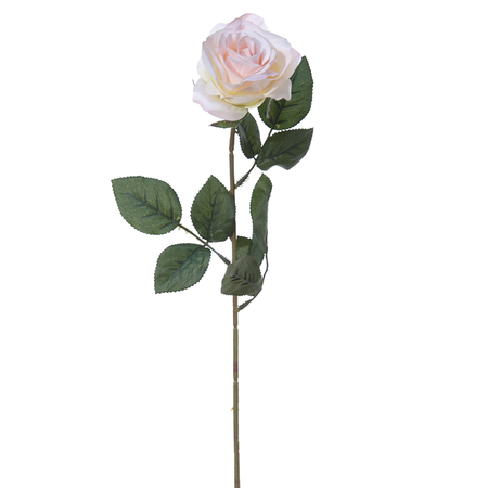Roossteel l66cmsteel lichtroze (Zijde-bloem)