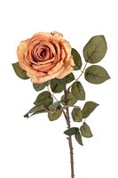 Roossteel l78cm zalm