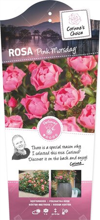 Rosa Pink Morsdag C3RP