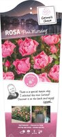 Rosa Pink Morsdag C3RP