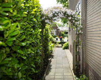 Rozenboog metaal zwart l229b113h38 - afbeelding 3