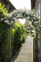 Rozenboog metaal zwart l229b113h38 - afbeelding 2