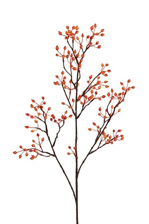 Rozenbotteltak l100cm oranje