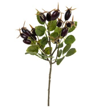 Rozenbotteltak l35cm burgundy