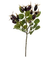 Rozenbotteltak l35cm burgundy