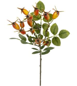 Rozenbotteltak l35cm geel/bruin