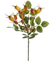 Rozenbotteltak l35cm geel/bruin