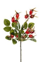 Rozenbotteltak l35cm oranje