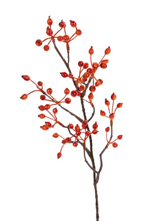 Rozenbotteltak l60cm oranje