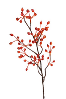 Rozenbotteltak l60cm oranje