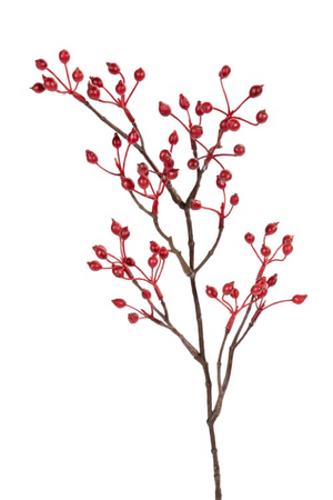 Rozenbotteltak l60cm rood