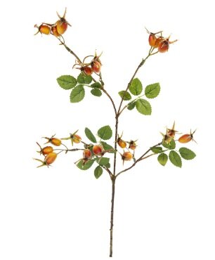 Rozenbotteltak l65cm geel/bruin