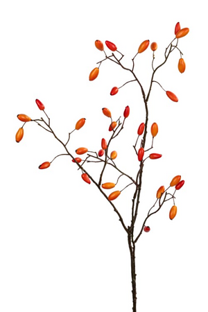 Rozenbotteltak l95cm oranje