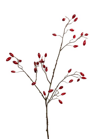 Rozenbotteltak l95cm rood