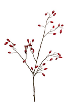 Rozenbotteltak l95cm rood