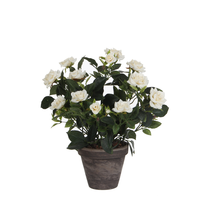 Rozenstruik d25h33cm wit in pot (Zijde-plant)
