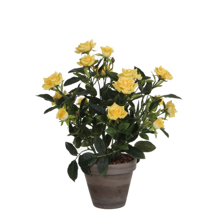 Rozenstruik in pot d25h33cm geel  (Zijde-plant)
