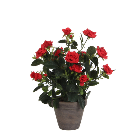 Rozenstruik in pot d25h33cm rood  (Zijde-plant)