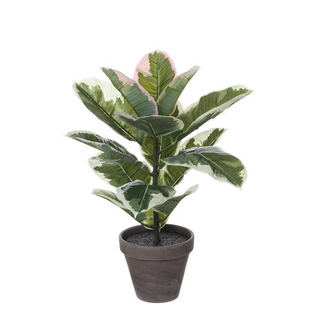 Rubberplant in pot d34h47cm groen (Zijde-plant)