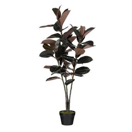 Rubberplant in pot d80h120cm rood