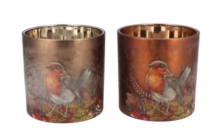 RUBY SCOTTISH BROWN T-LIGHT BIRD ASS 10X13CM