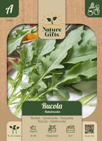 Rucola slaplant