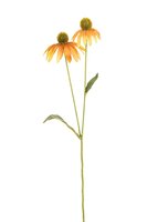 Rudbeckia l54cm geel/oranje