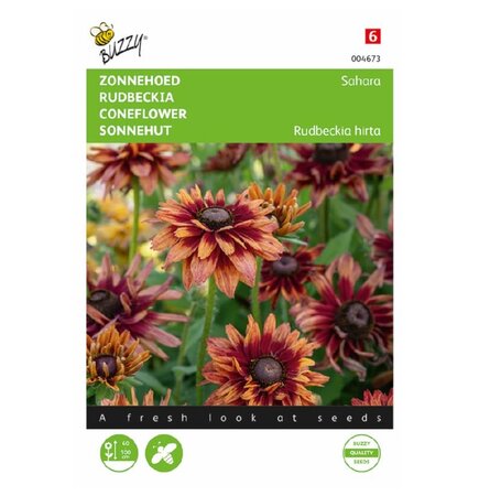 Rudbeckia. zonnehoed sahara 15 zdn