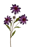 Rudbeckiasteel l70cm koraal