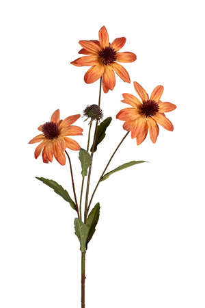 Rudbeckiasteel l70cm oranje