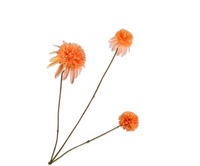 Rudbeckiatak l66cm oranje