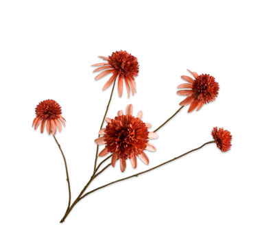 Rudbeckiatak l90cm oranje/rood