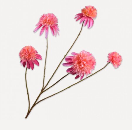 Rudbeckiatak l90cm roze