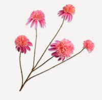 Rudbeckiatak l90cm roze