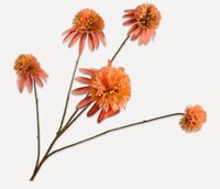 Rudbeckiatak l90cm zalm