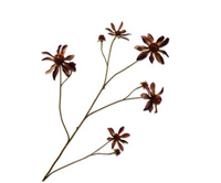 Rudbeckiatak l91cm bordeaux