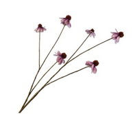 Rudbeckiatak l95cm lavendel