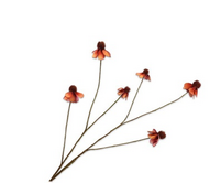 Rudbeckiatak l95cm oranje