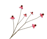 Rudbeckiatak l95cm roze