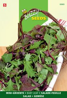Salad baby leaf mixed 5g - afbeelding 3
