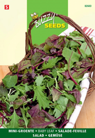 Salad baby leaf mixed 5g - afbeelding 4
