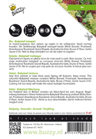 Salad baby leaf mixed 5g - afbeelding 2