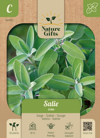 Salie echte salvia 50st